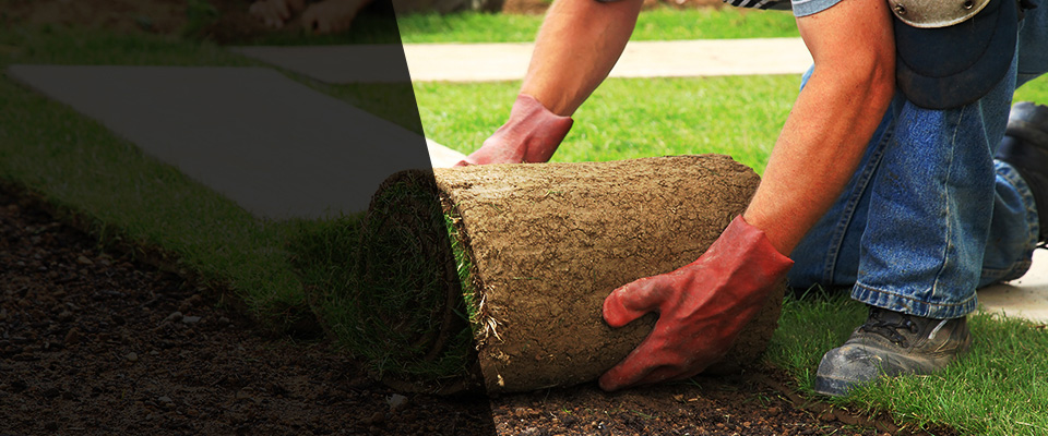 East Lyme Landscapers